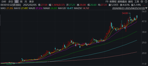顺阳网 若羽臣一季度净利增长翻倍，自研系统DeepSeek R1实现精准决策