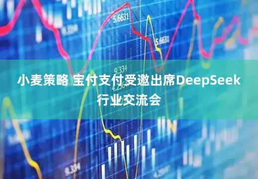 小麦策略 宝付支付受邀出席DeepSeek行业交流会