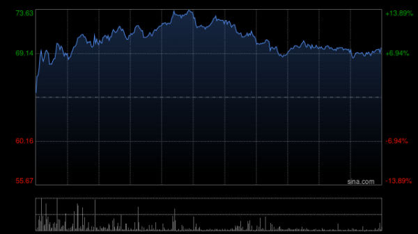 配资交易宝 维立志博-B早盘涨逾10% 核心产品LBL-024黑色素瘤试验近日完成首例用药