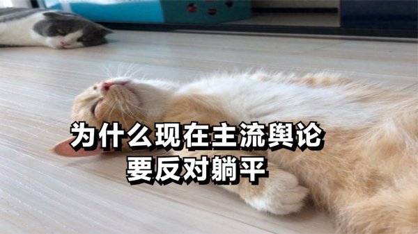 优配利 为什么现在主流舆论要反对躺平